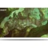 Ultra Pro Playmat Zendikar Rising: Timbercrown Pathway -Card Games Shop pm znr timbercrown